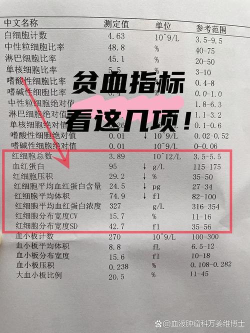儿童贫血化验单怎么看？关键指标解读与应对方法有哪些？-第1张图片-郑州医学网