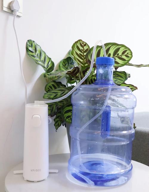 孕期长期饮用饮水机的水，会对胎儿健康造成潜在风险吗？-第1张图片-郑州医学网