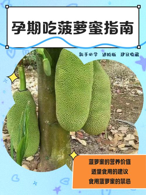 怀孕期间能吃菠萝蜜吗？孕期食用菠萝蜜有哪些注意事项？-第1张图片-郑州医学网