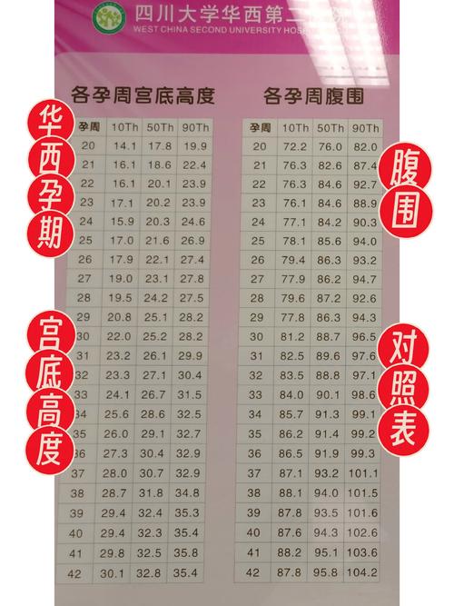 孕期宫高增长腹围却不变，是胎儿发育异常还是测量误差？-第2张图片-郑州医学网