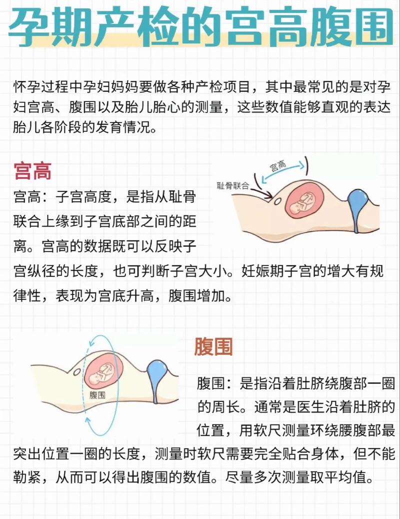 孕期宫高增长腹围却不变，是胎儿发育异常还是测量误差？-第1张图片-郑州医学网