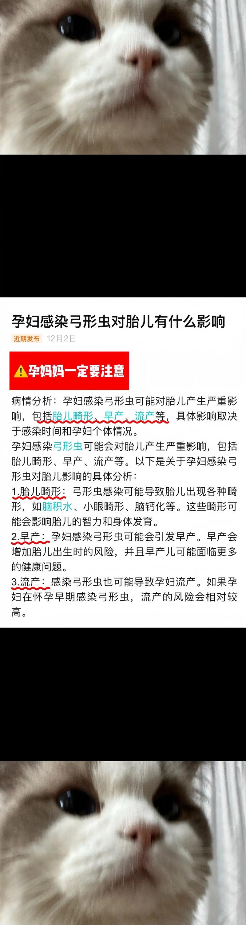 孕期弓形虫感染了怎么办？会对宝宝有影响吗？该如何治疗与预防？-第1张图片-郑州医学网