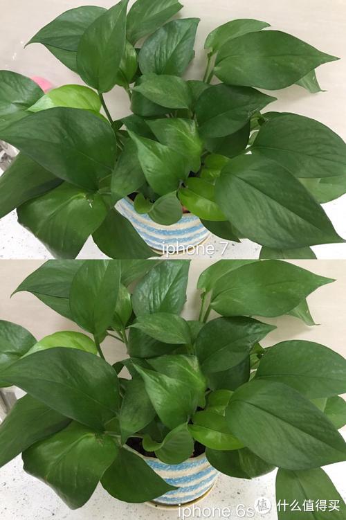 孕期白带发绿是感染信号吗？需要立即就医处理吗？-第3张图片-郑州医学网