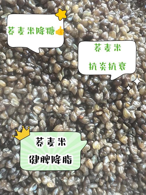 苦荞小米粥儿童能喝吗？有哪些注意事项与适宜搭配？-第3张图片-郑州医学网