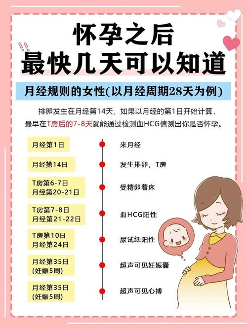 易孕期一次就中概率高吗？影响因素有哪些？-第2张图片-郑州医学网