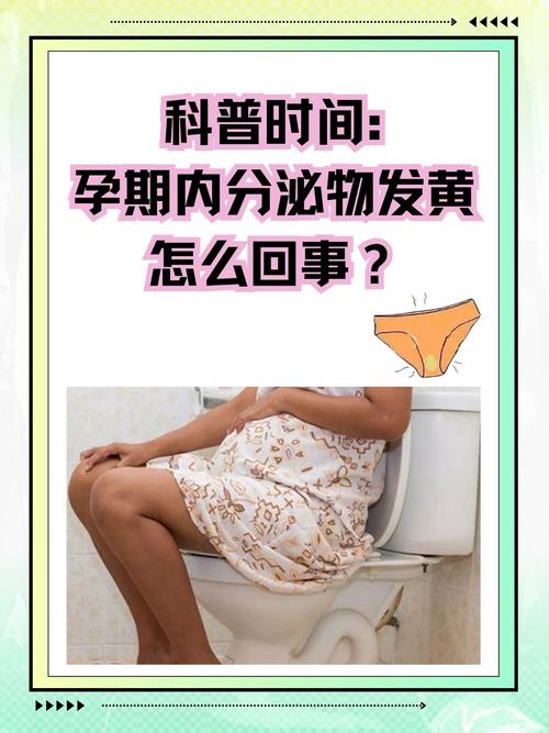 孕期吐黄水是胆汁反流还是肝胆异常？需警惕哪些健康风险？-第3张图片-郑州医学网