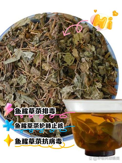 备孕期可以喝鱼腥草吗-第3张图片-郑州医学网