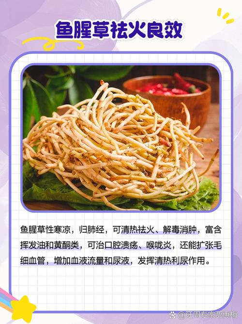 备孕期可以喝鱼腥草吗-第2张图片-郑州医学网