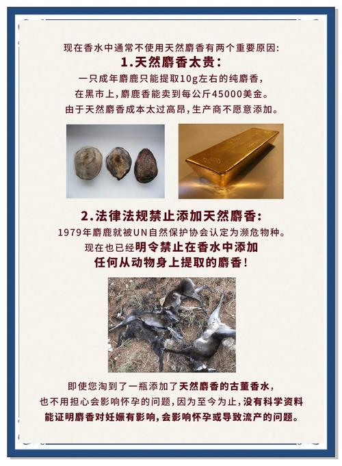 麝香对儿童有什么危害-第1张图片-郑州医学网