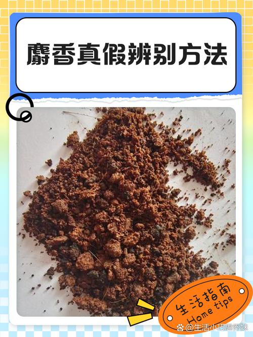 麝香对儿童有什么危害-第2张图片-郑州医学网