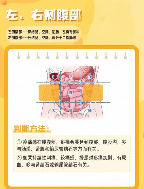 孕期腹部痛究竟是什么原因？是正常生理反应还是危险信号？-第3张图片-郑州医学网