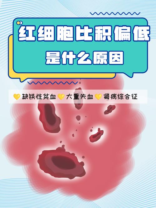 孕期血常规红细胞比积-第1张图片-郑州医学网