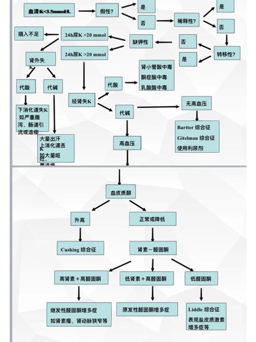 新生儿血钾偏低究竟是什么原因导致的?-第1张图片-郑州医学网 新生儿血钾偏低究竟是什么原因导致的?-第1张图片-郑州医学网