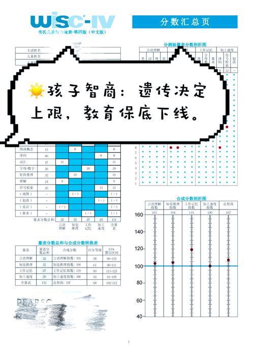 韦氏学前儿童智力量表究竟如何科学评估3-7岁儿童的综合能力？-第3张图片-郑州医学网