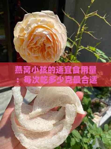 儿童吃燕窝一次多少克才合适？不同年龄段该如何科学把控分量？-第3张图片-郑州医学网