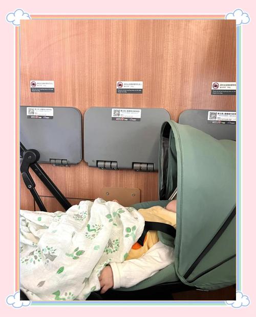 新生儿坐动车有哪些注意事项需要提前准备和注意?-第1张图片-郑州医学网 新生儿坐动车有哪些注意事项需要提前准备和注意?-第1张图片-郑州医学网