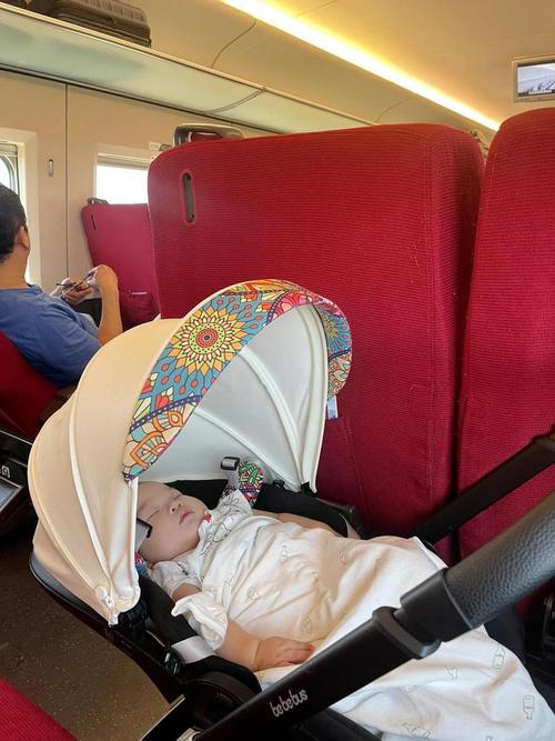 新生儿坐动车有哪些注意事项需要提前准备和注意?-第2张图片-郑州医学网 新生儿坐动车有哪些注意事项需要提前准备和注意?-第2张图片-郑州医学网