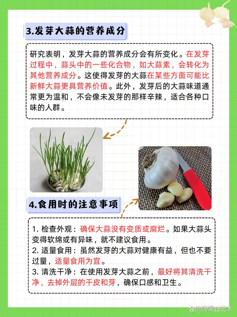 孕期食用发芽大蒜安全吗？会对胎儿发育有不良影响吗？-第1张图片-郑州医学网