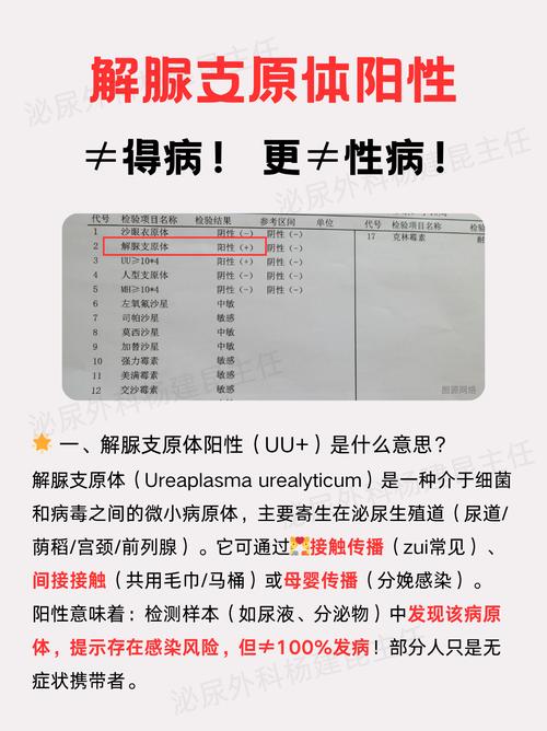孕期查出支原体阳性，对胎儿影响大吗？需要立即治疗吗？-第3张图片-郑州医学网