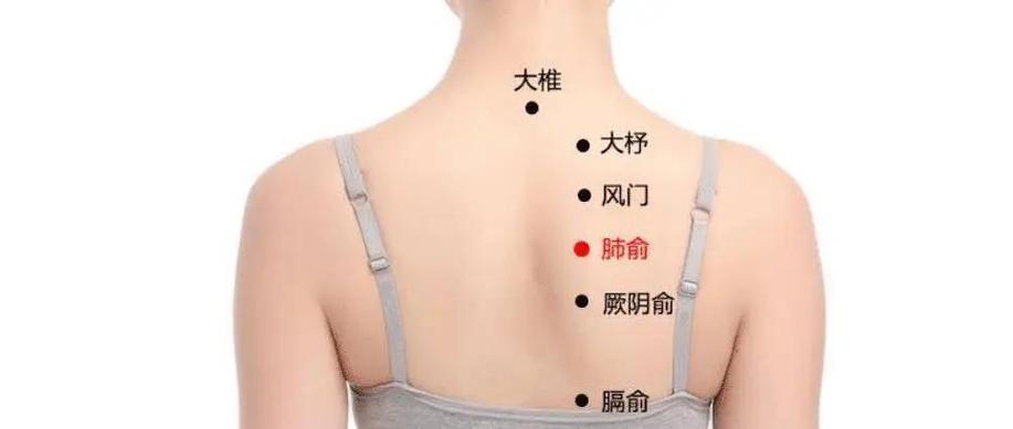 儿童肺俞穴的准确位置图究竟在哪里？如何快速找到并正确定位？-第2张图片-郑州医学网