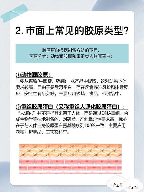 备孕期喝胶原蛋白真的安全吗？对胎儿发育有影响吗？-第3张图片-郑州医学网