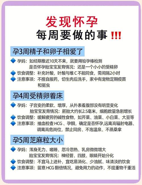 孕期到底从几周开始补充营养最科学?不同阶段重点营养素怎么补?-第1张图片-郑州医学网 孕期到底从几周开始补充营养最科学?不同阶段重点营养素怎么补?-第1张图片-郑州医学网