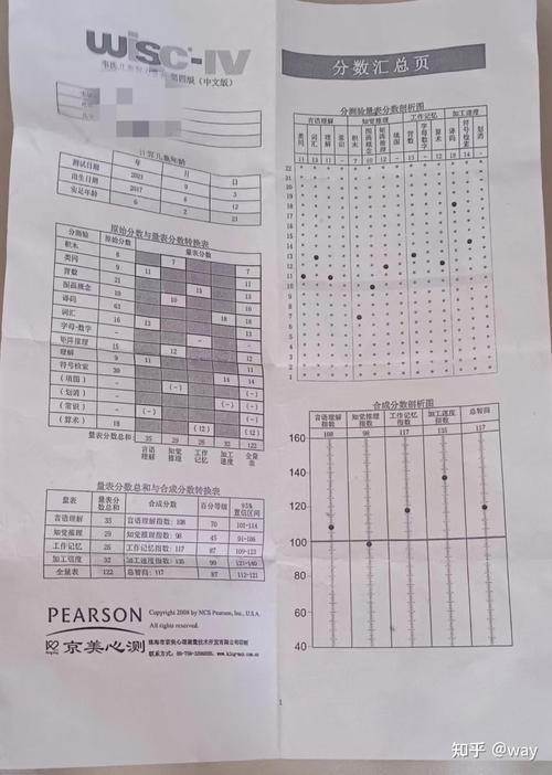 中国韦氏儿童智力量表如何科学评估儿童智力水平，其本土化适配性如何保障？-第3张图片-郑州医学网