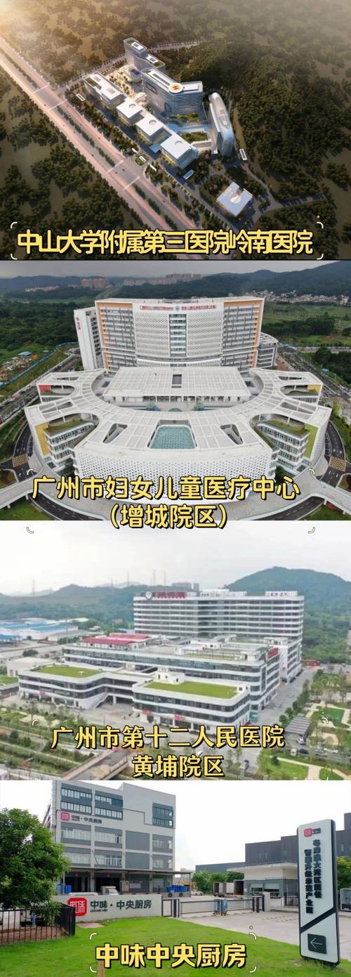 广州妇女儿童中心官网能提供哪些具体服务与活动信息？-第2张图片-郑州医学网