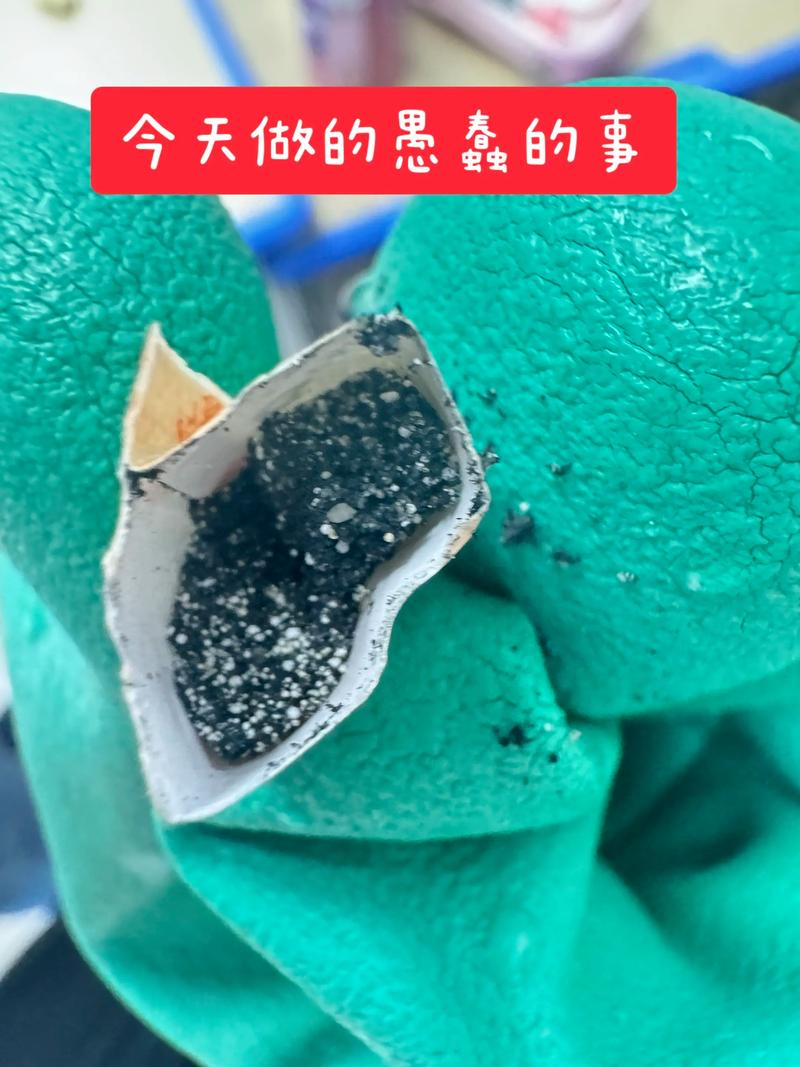 儿童误食干燥剂后紧急处理步骤有哪些？家长如何判断是否需要送医？-第1张图片-郑州医学网