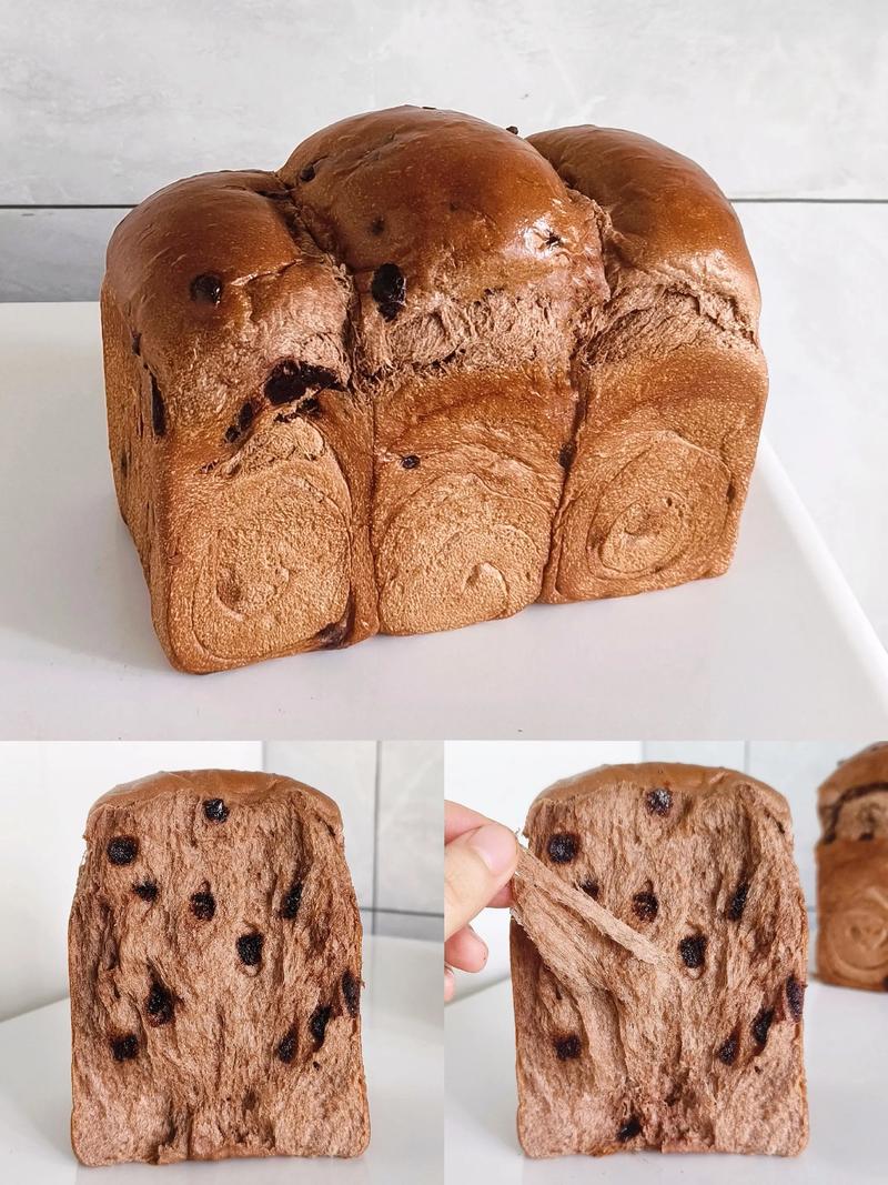 孕期能吃巧克力面包吗-第1张图片-郑州医学网