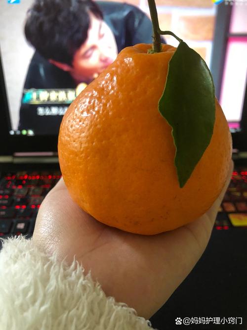 孕期大量食用橙子橘子，会对胎儿或孕妇产生哪些潜在影响？-第1张图片-郑州医学网