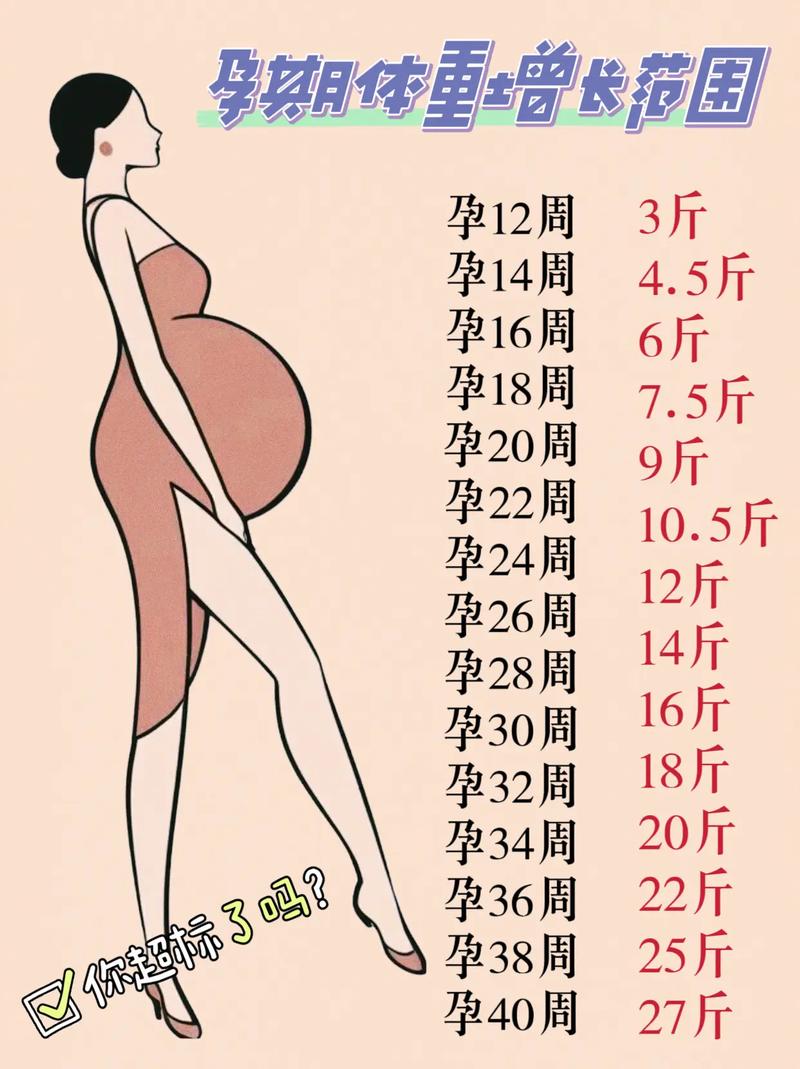 孕期体重增长最快时期是哪个阶段？不同孕周的增长规律有何差异？-第1张图片-郑州医学网