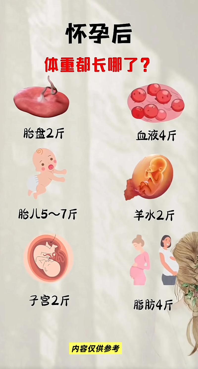 孕期体重增长最快时期是哪个阶段？不同孕周的增长规律有何差异？-第3张图片-郑州医学网