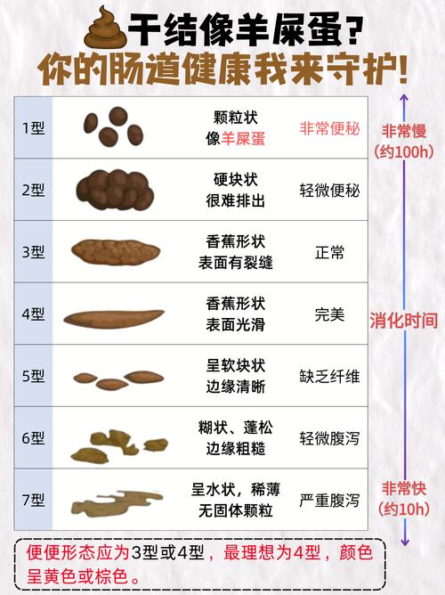 孕期大便干结太难受？有哪些安全有效的缓解方法能让准妈妈舒服点？-第2张图片-郑州医学网