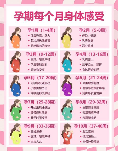 孕期乳房变大会持续整个孕期吗？生完宝宝后会慢慢恢复吗？-第1张图片-郑州医学网