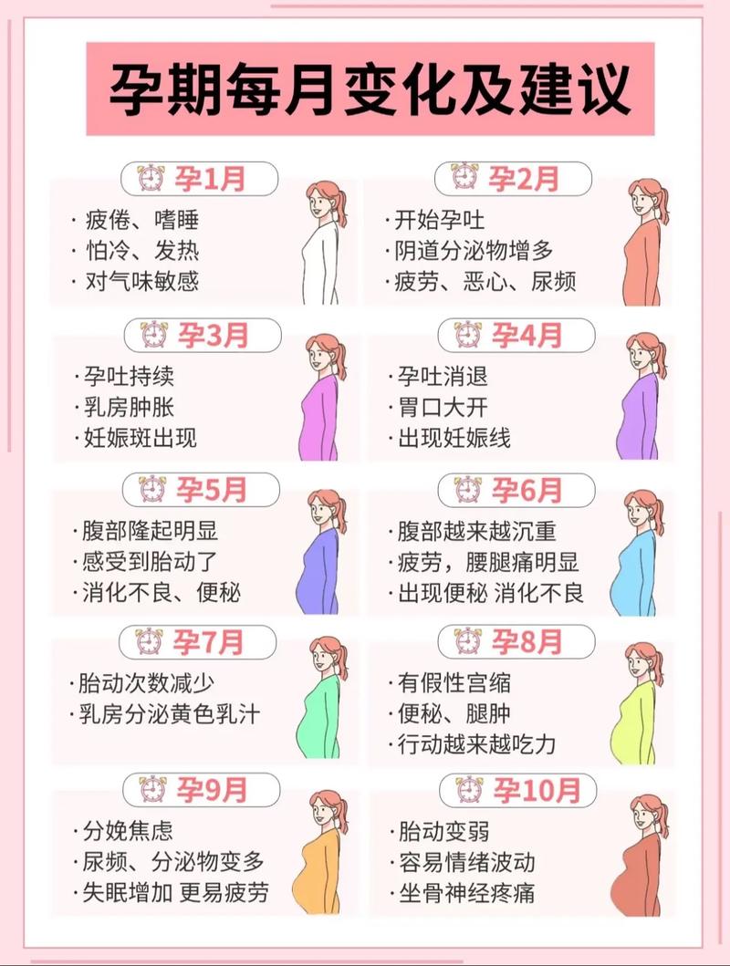 孕期乳房变大会持续整个孕期吗？生完宝宝后会慢慢恢复吗？-第2张图片-郑州医学网