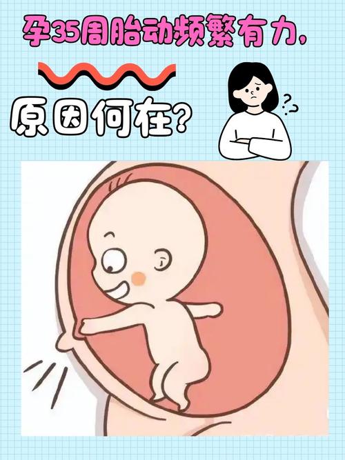 孕期胎动一直频繁，是宝宝活力足还是异常信号？-第3张图片-郑州医学网