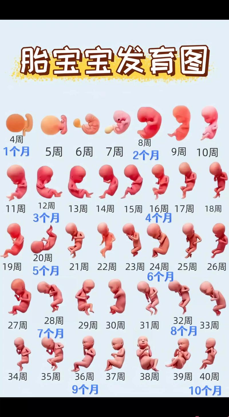 新生儿大肚子多久能恢复正常大小？需要家长注意哪些异常情况？-第1张图片-郑州医学网