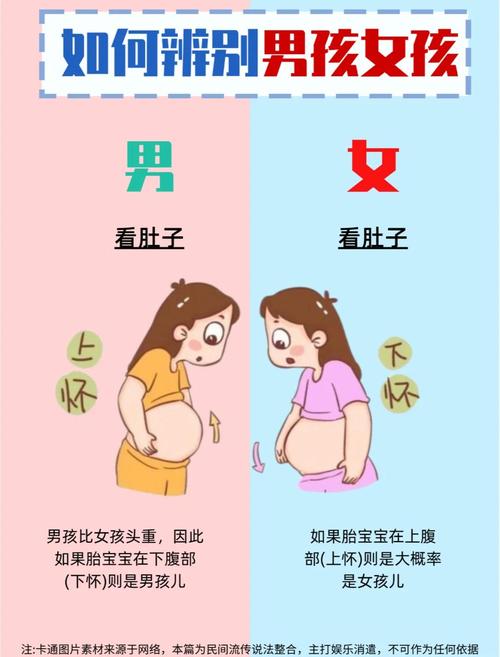 孕期肚子发硬真能判断宝宝性别？男女胎信号差异科学依据是什么？-第2张图片-郑州医学网