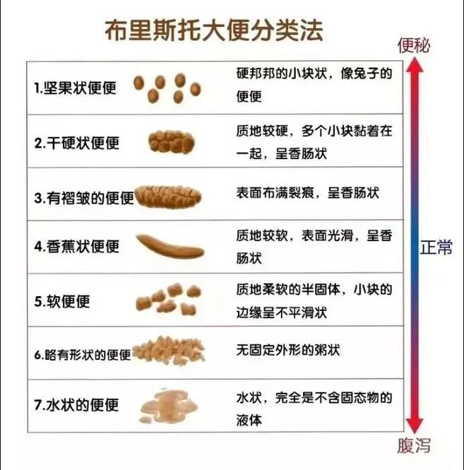 新生儿绿粑粑是消化不良还是喂养方式问题？-第3张图片-郑州医学网