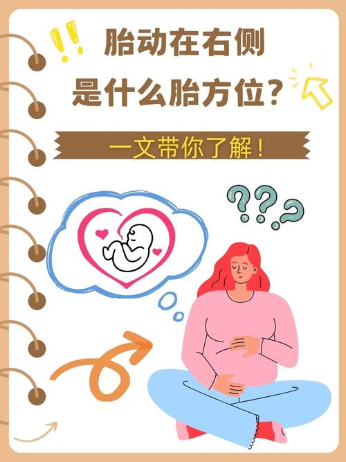 整个孕期胎动都在右边-第1张图片-郑州医学网