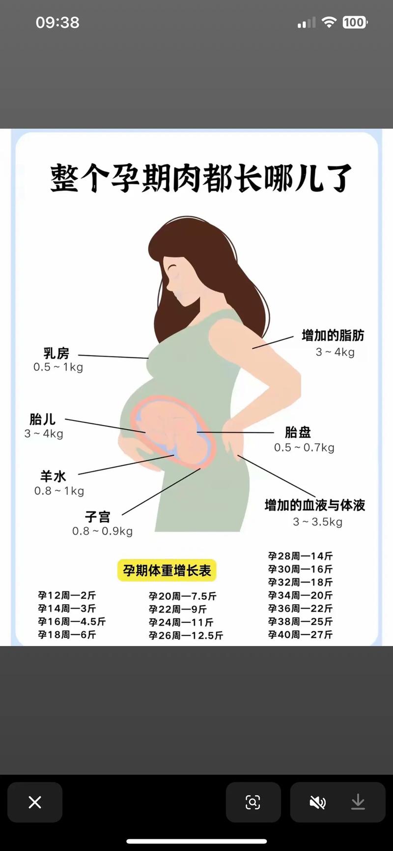 孕期哪个阶段最容易疯狂长胖？避开这几个发胖高峰期，拒绝产后瘦不下来-第3张图片-郑州医学网