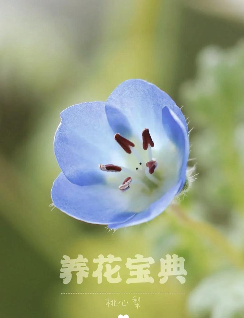 新生儿点花是预防什么疾病？点花后需要注意哪些事项？-第3张图片-郑州医学网