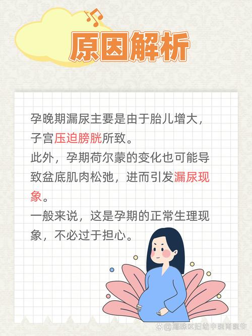 孕期一吐就漏尿是正常现象吗？如何有效缓解这种尴尬状况？-第3张图片-郑州医学网