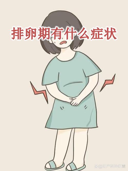 易孕期和排卵期是同一个概念吗？两者在受孕时机上有何区别？-第3张图片-郑州医学网