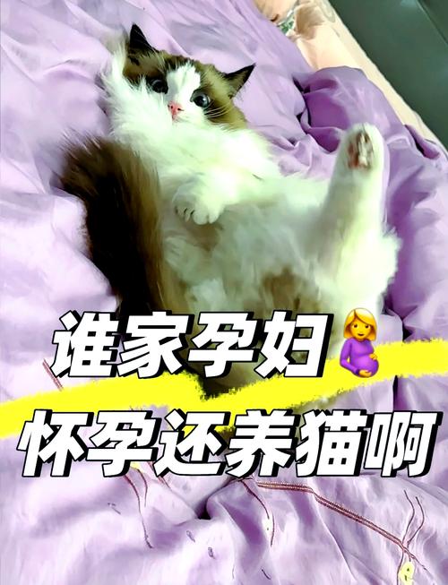 怀孕期间接触猫狗会感染弓形虫吗？如何安全养宠物？-第1张图片-郑州医学网