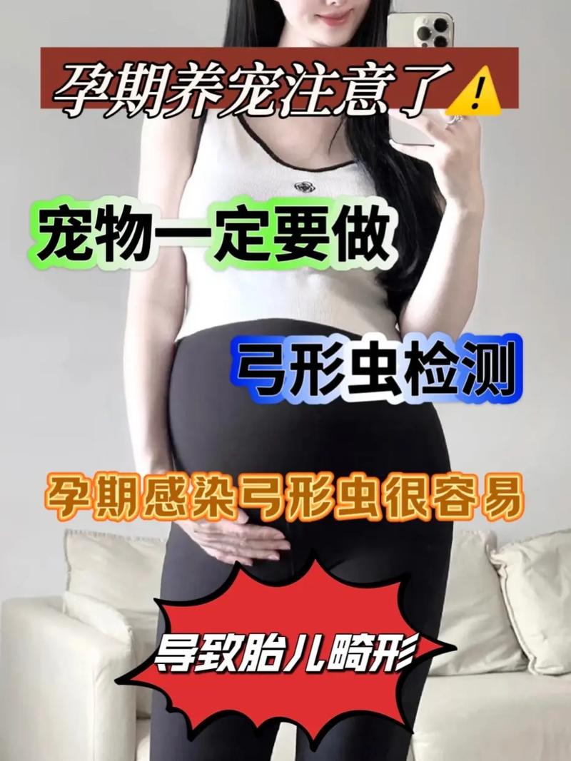 怀孕期间接触猫狗会感染弓形虫吗？如何安全养宠物？-第2张图片-郑州医学网