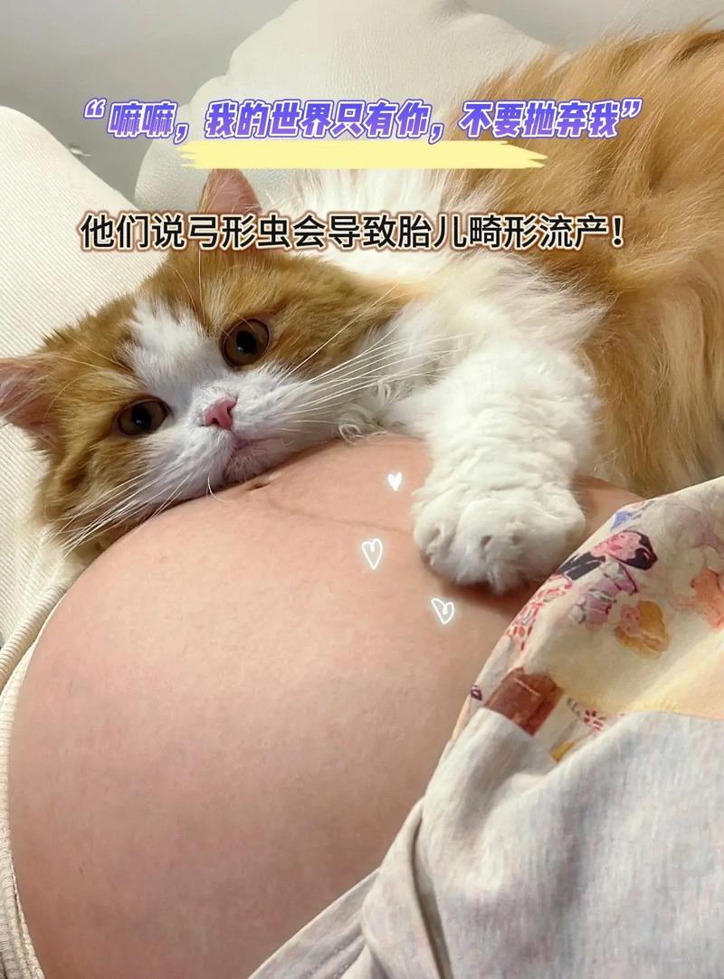 怀孕期间接触猫狗会感染弓形虫吗？如何安全养宠物？-第3张图片-郑州医学网