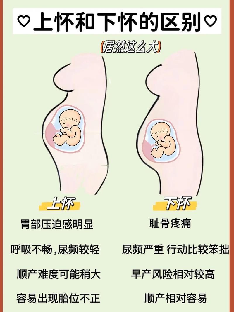 孕期肚子左右不对称正常吗？是否需要担心胎儿发育问题？-第2张图片-郑州医学网