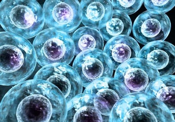 新生儿干细胞储存真的有必要吗？是科学保障还是智商税？-第3张图片-郑州医学网